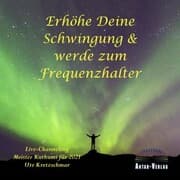 Cover von Erhöhe Deine Schwingung und werde zum Frequenzhalter