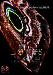 Cover von Lichtes Dunkel
