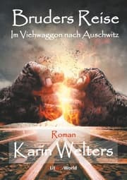 Cover von Bruders Reise