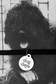 Cover von dog days