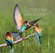Cover von Schönheit entdecken