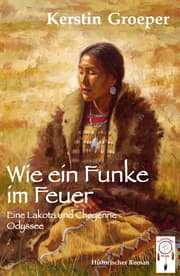 Cover von Wie ein Funke im Feuer
