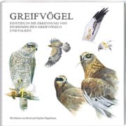 Cover von Greifvögel