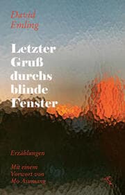 Cover von Letzter Gruß durchs blinde Fenster