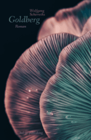 Cover von Goldberg