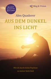 Cover von Aus dem Dunkel ins Licht