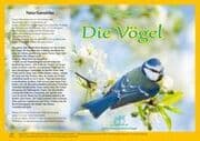 Cover von Natur-Kamishibai / Kamishibai - Die Vögel