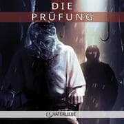 Cover von Die Prüfung