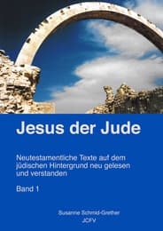 Cover von Jesus der Jude Band 1