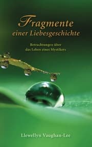 Cover von Fragmente einer Liebesgeschichte