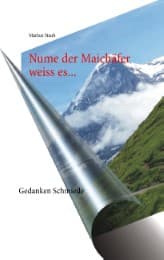 Cover von Nume der Maichäfer weiss es...