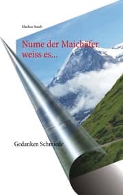 Cover von Nume der Maichäfer weiss es...
