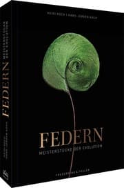 Cover von Federn