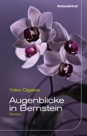 Cover von Augenblicke in Bernstein