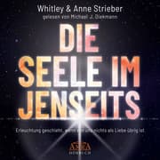 Cover von Die Seele im Jenseits