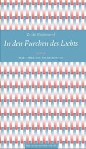 Cover von In den Furchen des Lichts