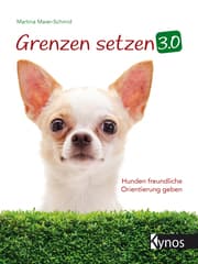 Cover von Grenzen setzen 3.0
