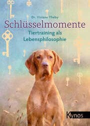Cover von Schlüsselmomente