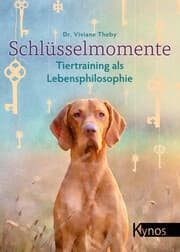 Cover von Schlüsselmomente