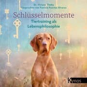 Cover von Schlüsselmomente