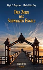 Cover von Der Zorn des schwarzen Engels