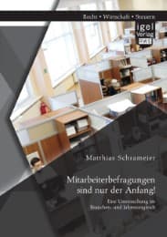 Cover von Mitarbeiterbefragungen sind nur der Anfang! Eine Untersuchung im Branchen- und Jahresvergleich