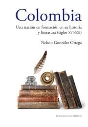 Cover von Colombia Una nación en formación en su historia y literatura (siglos XVI al XXI)