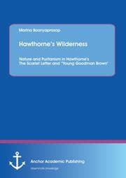 Cover von Hawthornes Wilderness: Nature and Puritanism in Hawthornes The Scarlet Letter and Young Goodman Brown'