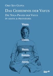 Cover von Das Geheimnis der Vayus