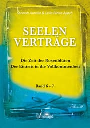 Cover von Seelenverträge 6+7