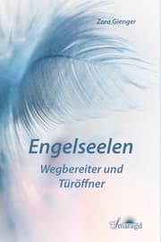 Cover von Engelsseelen - Wegbereiter und Toröffner