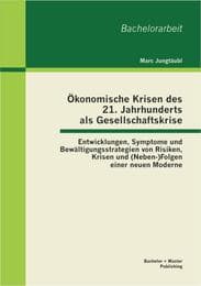 Cover von Ökonomische Krisen des 21. Jahrhunderts als Gesellschaftskrise: Entwicklungen, Symptome und Bewältigungsstrategien von Risiken, Krisen und (Neben-)Folgen einer neuen Moderne