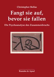Cover von Fangt sie auf, bevor sie fallen