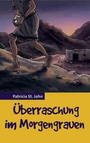 Cover von Überraschung im Morgengrauen