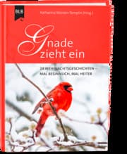 Cover von Gnade zieht ein