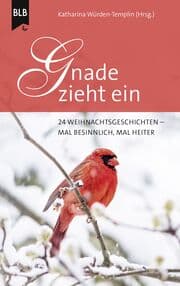 Cover von Gnade zieht ein