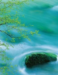 Cover von Blankbook Flowing Waters