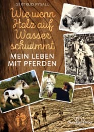 Cover von Wie wenn Holz auf Wasser schwimmt