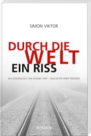 Cover von Durch die Welt ein Riss
