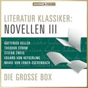 Cover von Literatur Klassiker: Novellen III
