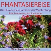 Cover von Phantasiereise: Die Blumenwiese inmitten der Waldlichtung