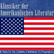 Cover von Klassiker der amerikanischen Literatur