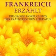 Cover von Frankreich erzählt