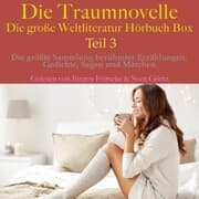 Cover von Die Traumnovelle - die große Weltliteratur Hörbuch Box, Teil 3