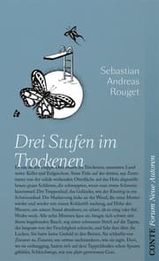 Cover von Drei Stufen im Trockenen