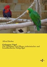 Cover von Gefangene Vögel