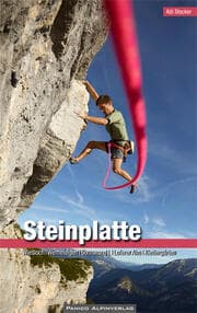 Cover von Kletterführer Steinplatte
