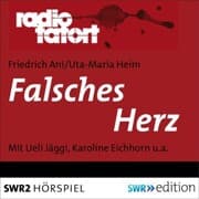 Cover von Falsches Herz
