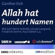 Cover von Allah hat hundert Namen