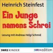 Cover von Ein Junge namens Schrei